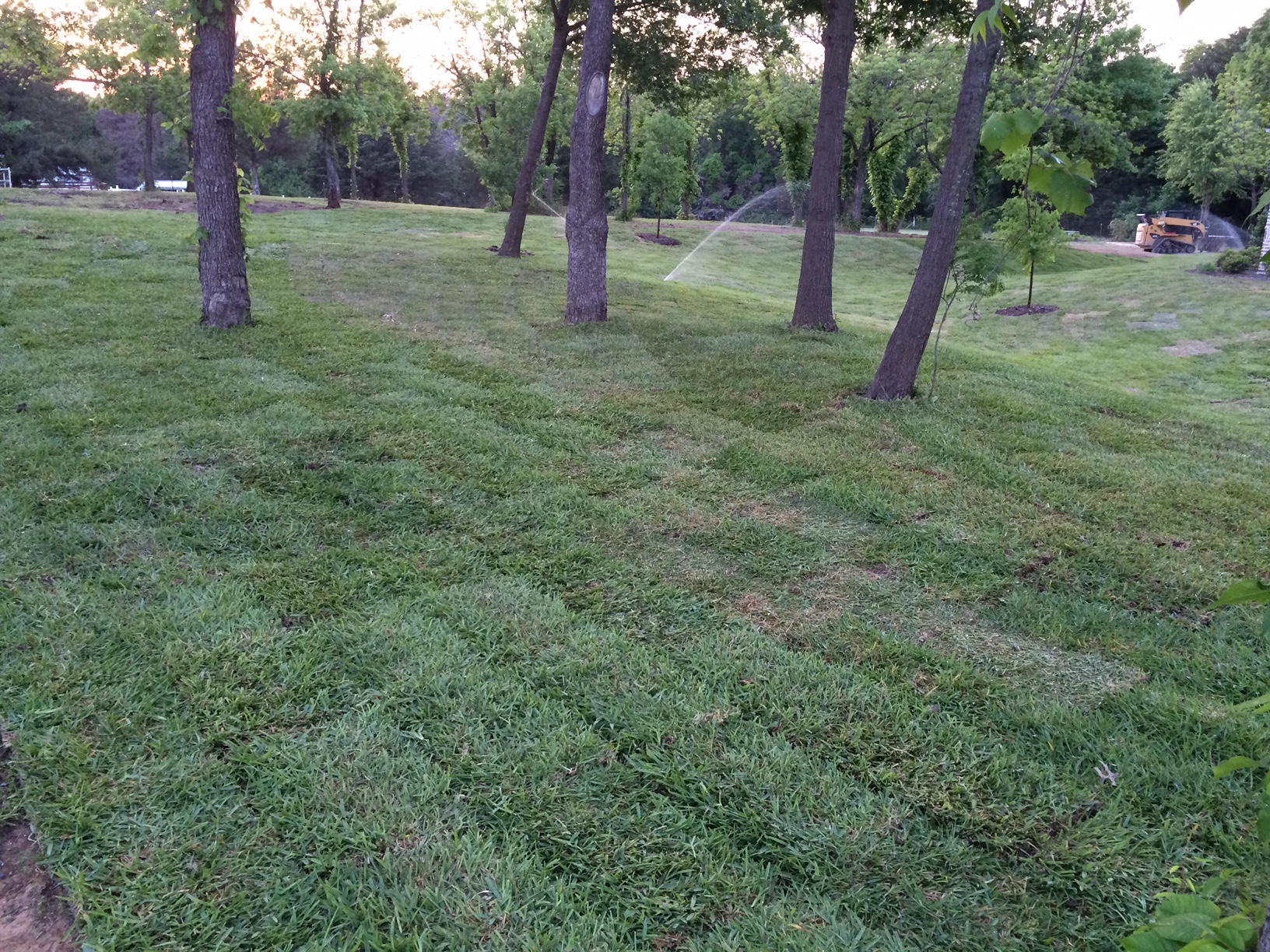 Lawn Maintenance